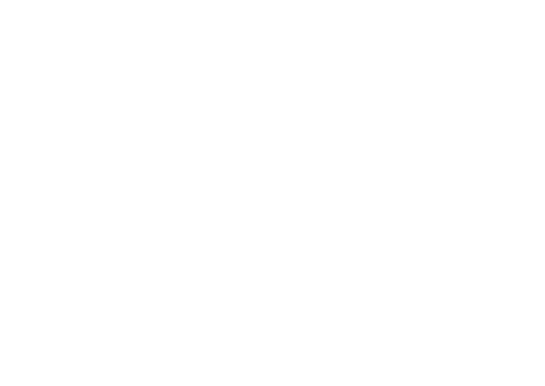 Adaptive LOGO